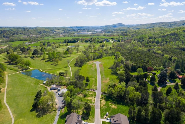 20 Norman Creek Rd, Evensville, TN 37332