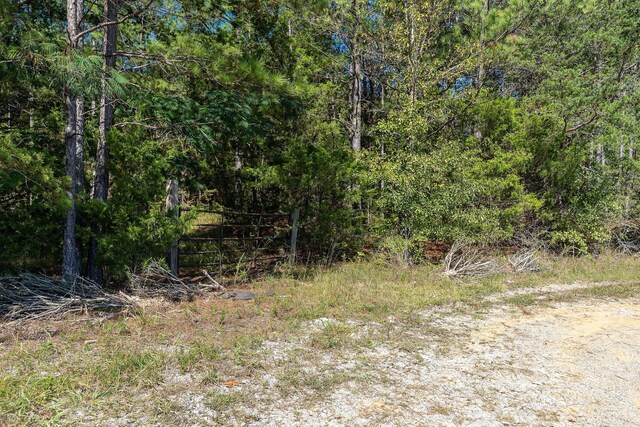 0 R Gribble Rd, Mcminnville, TN 37110 - photo 13