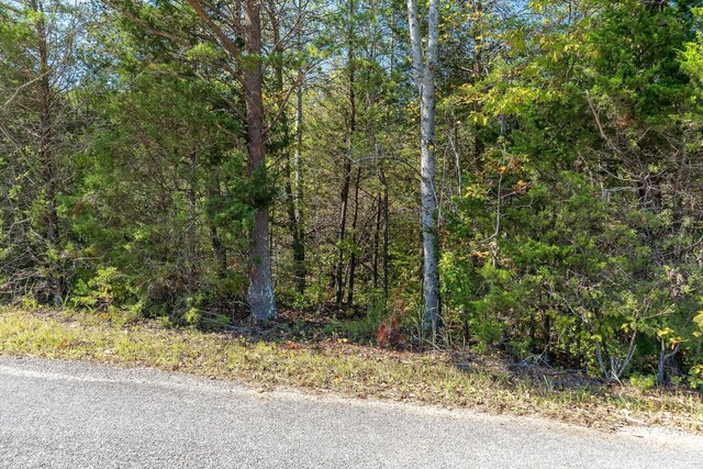 0 R Gribble Rd, Mcminnville, TN 37110 - photo 15