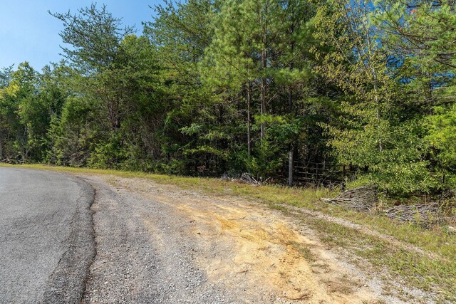 0 R Gribble Rd, Mcminnville, TN 37110 - photo 14