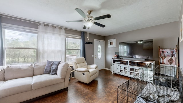 living room featuring ceiling fan, a textured ceiling, and dark wood-type flooring