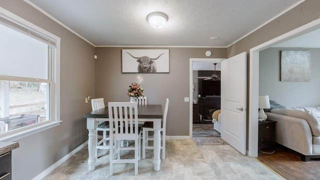 dining room with a textured ceiling and ornamental molding