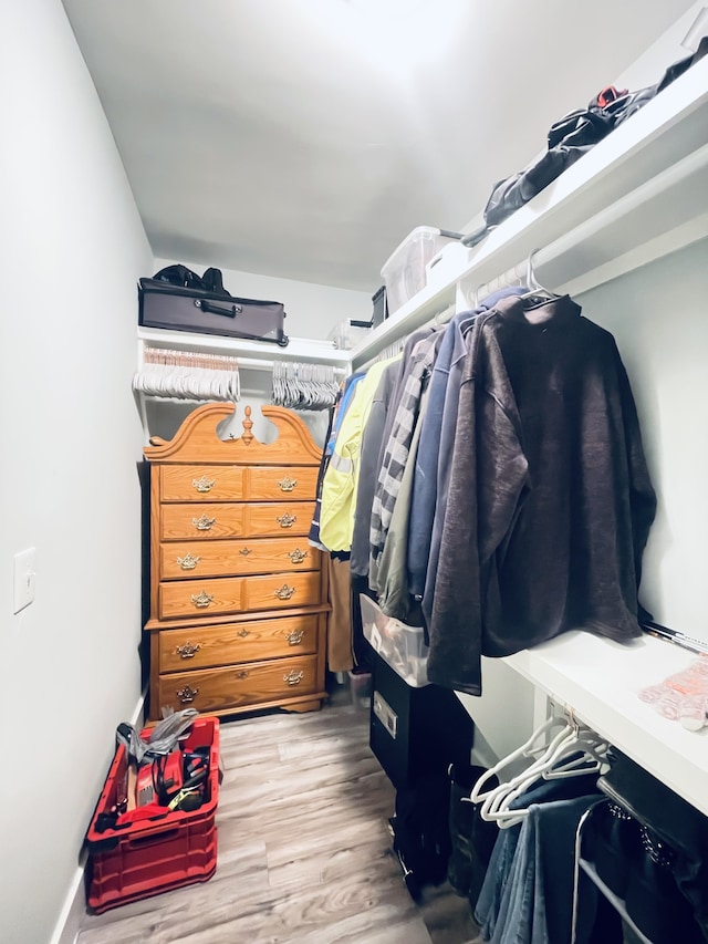 walk in closet with light wood-type flooring