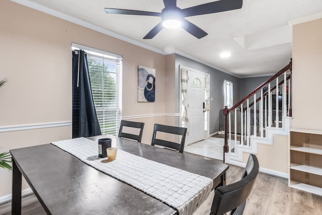 dining space featuring ceiling fan, a textured ceiling, crown molding, and light hardwood / wood-style floors