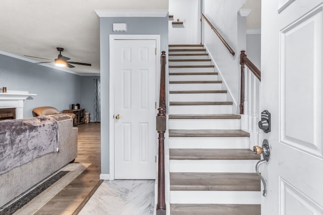 entrance foyer with wood-type flooring, crown molding, and ceiling fan