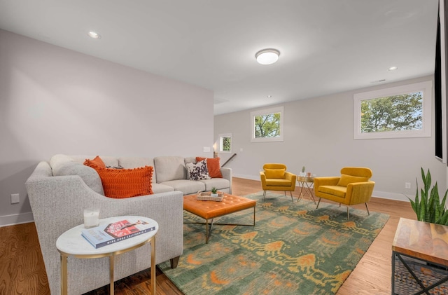 living room featuring hardwood / wood-style floors