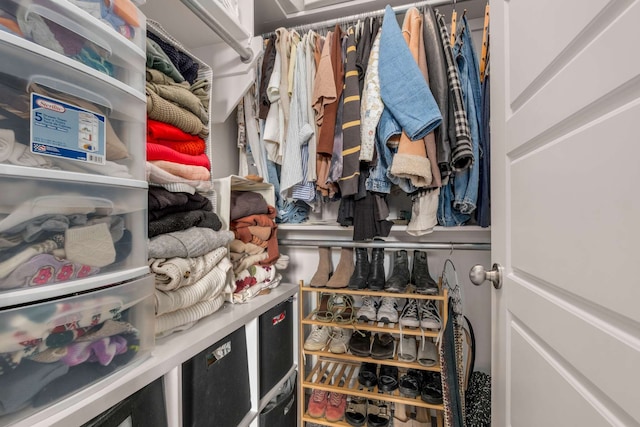 view of walk in closet