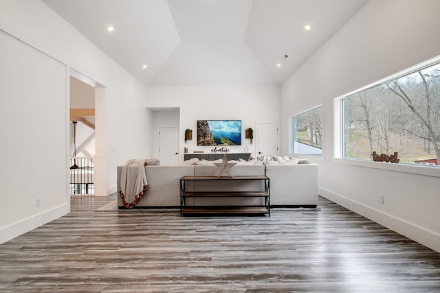 living room with hardwood / wood-style flooring and high vaulted ceiling