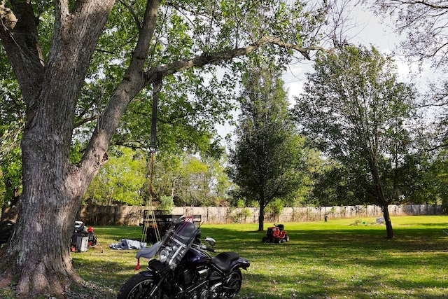 view of community with a yard