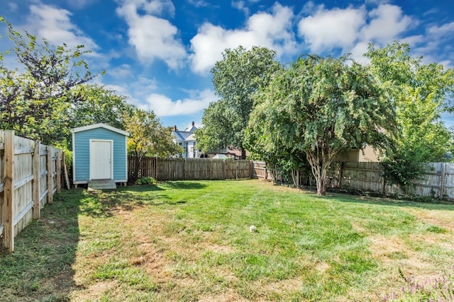 view of yard with a shed