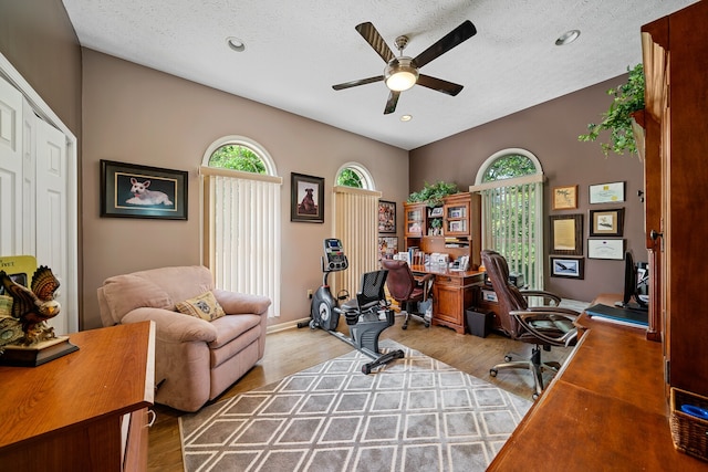 office area with light hardwood / wood-style floors, ceiling fan, and a textured ceiling