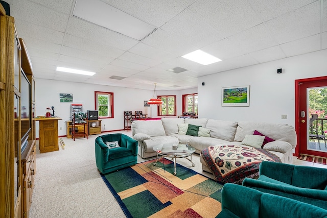 living room featuring carpet and a paneled ceiling