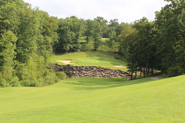 view of home's community featuring a yard