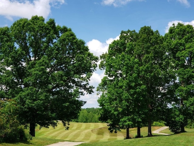 view of community with a yard