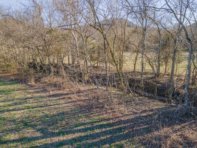 view of landscape