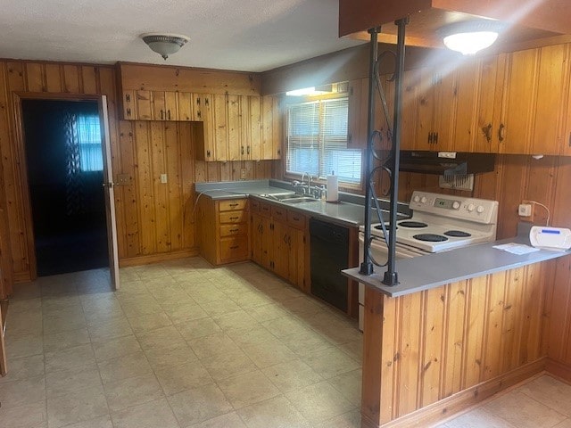 kitchen with a wealth of natural light, electric stove, ventilation hood, and sink