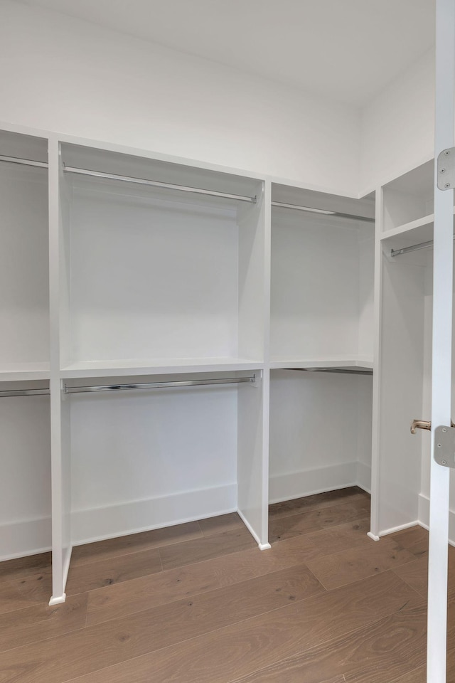 spacious closet featuring wood finished floors