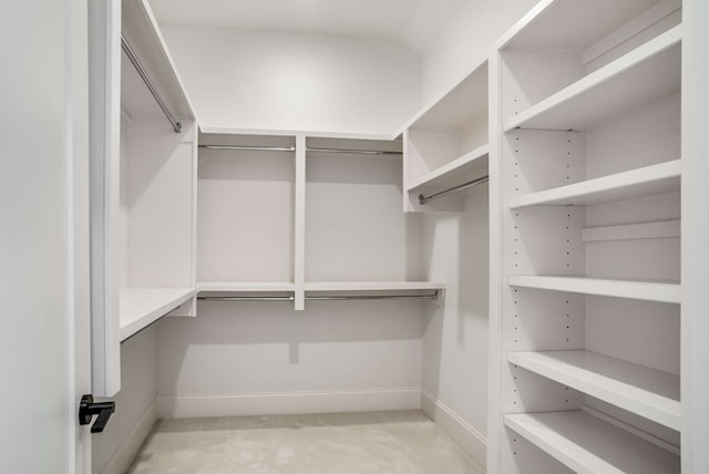 spacious closet with light carpet