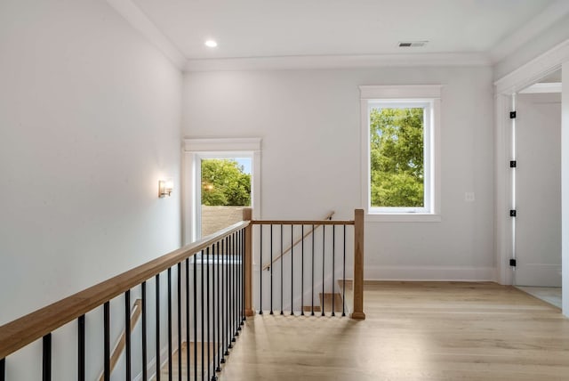 hall featuring crown molding, light hardwood / wood-style floors, and a wealth of natural light