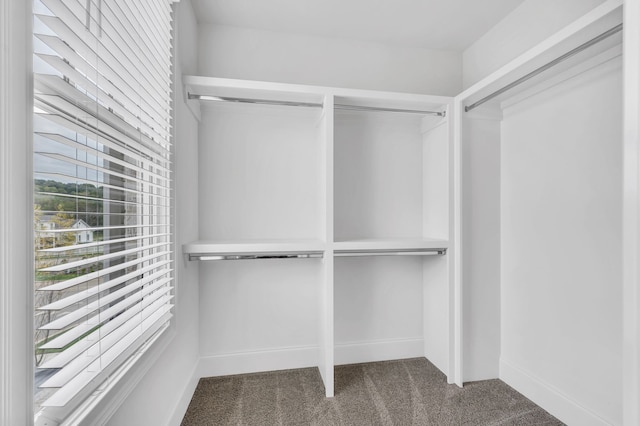 spacious closet with carpet flooring