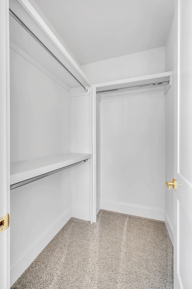 spacious closet with carpet flooring