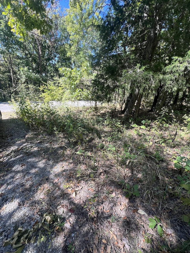 2694 Sanford Rd, Nolensville, TN 37135 - photo 2