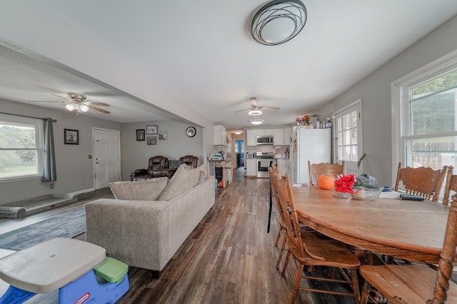 dining space with dark hardwood / wood-style floors, ceiling fan, and a wealth of natural light