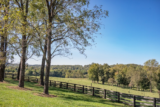 view of yard with a rural view