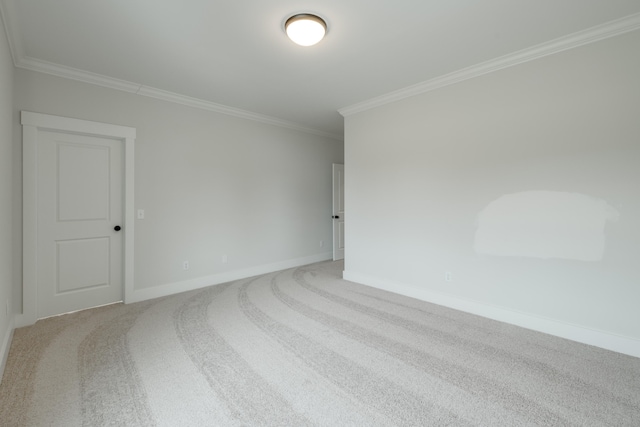 empty room featuring carpet floors and crown molding