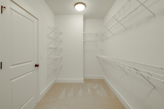 spacious closet featuring light carpet