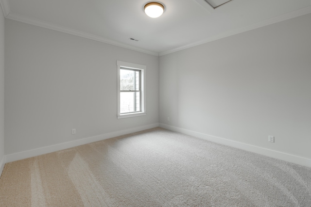 empty room with carpet floors and crown molding