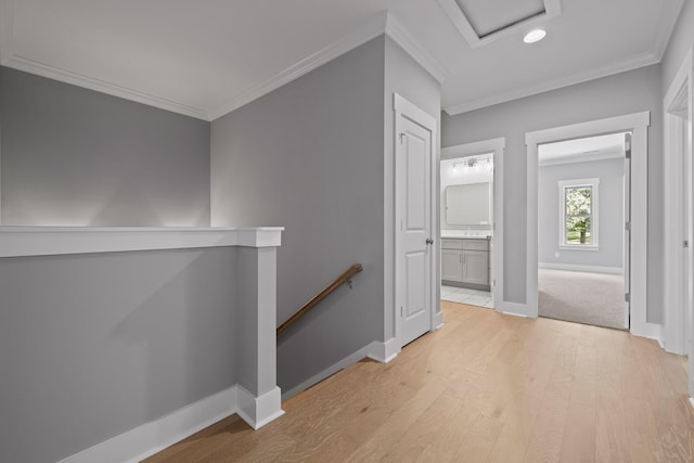 hall with light wood-type flooring and ornamental molding