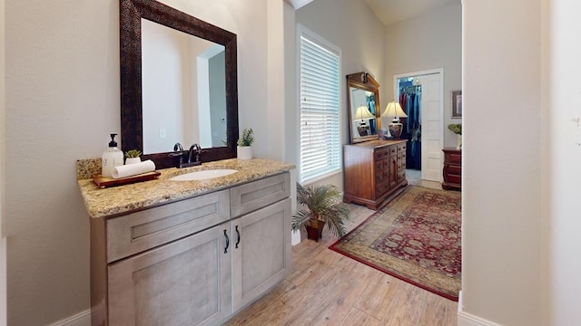 bathroom featuring vanity and wood-type flooring