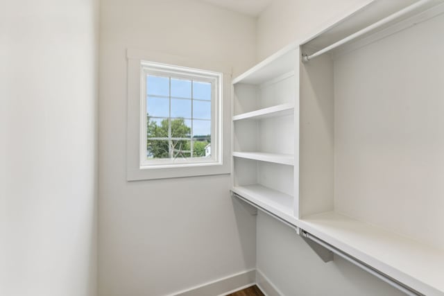 walk in closet with wood-type flooring