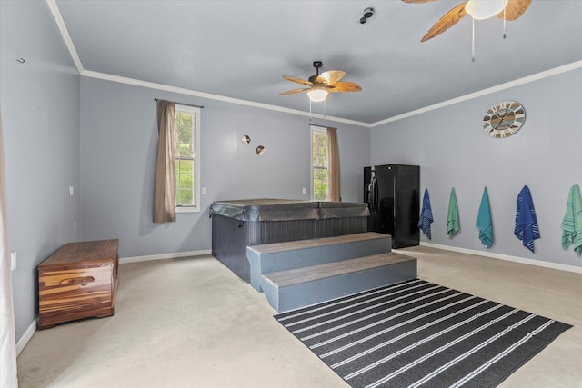 miscellaneous room featuring carpet, ornamental molding, a hot tub, and ceiling fan