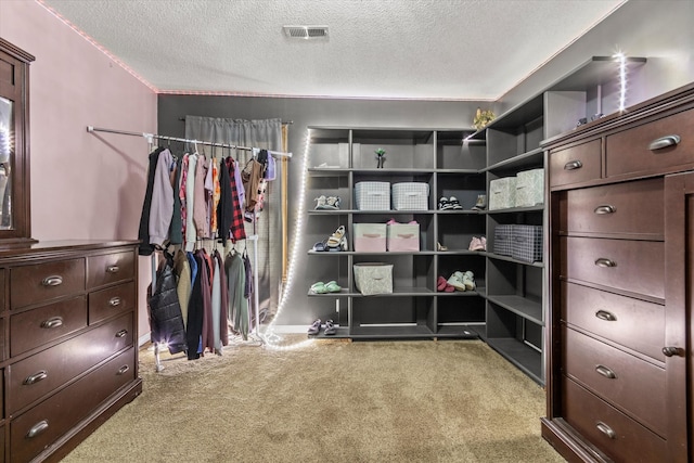 walk in closet with light colored carpet