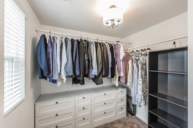 spacious closet with light colored carpet