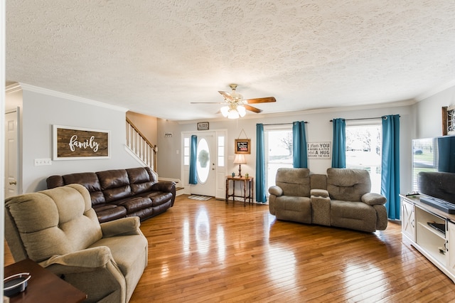 living room with wood-type flooring, a textured ceiling, and crown molding