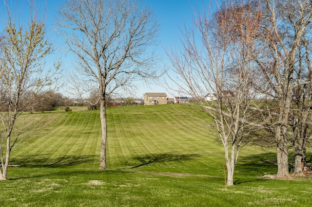 view of yard featuring a rural view