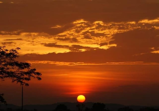 view of nature at dusk