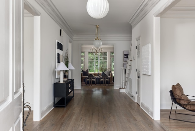 hallway featuring dark wood-type flooring, ornamental molding, and a chandelier