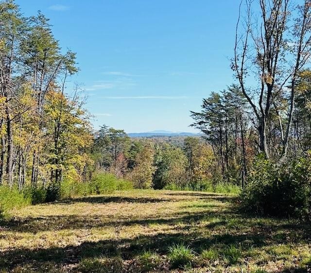 291 Mowbray Pike, Soddy Daisy TN, 37379 land for sale