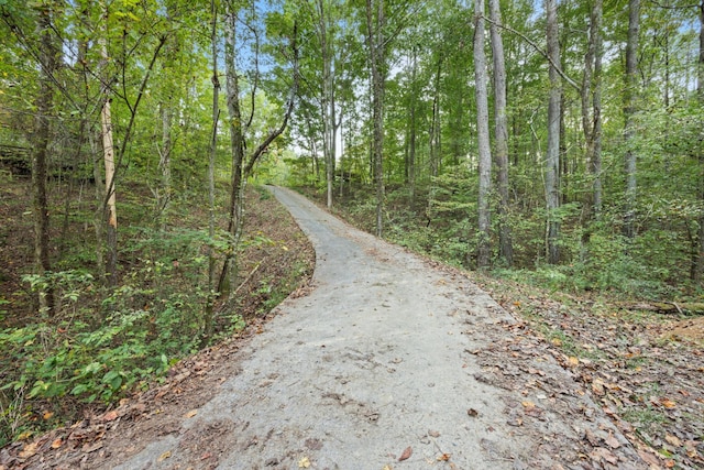 view of road