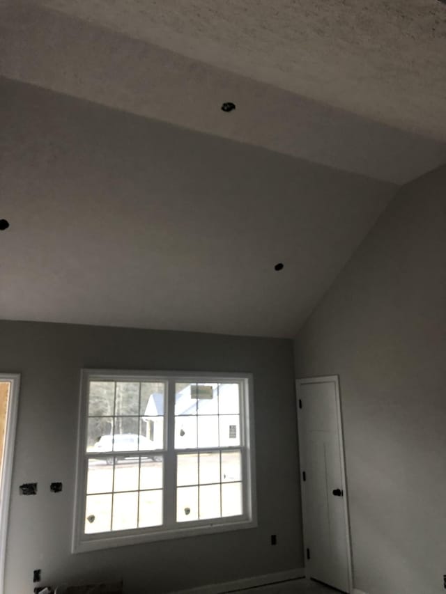 spare room with lofted ceiling