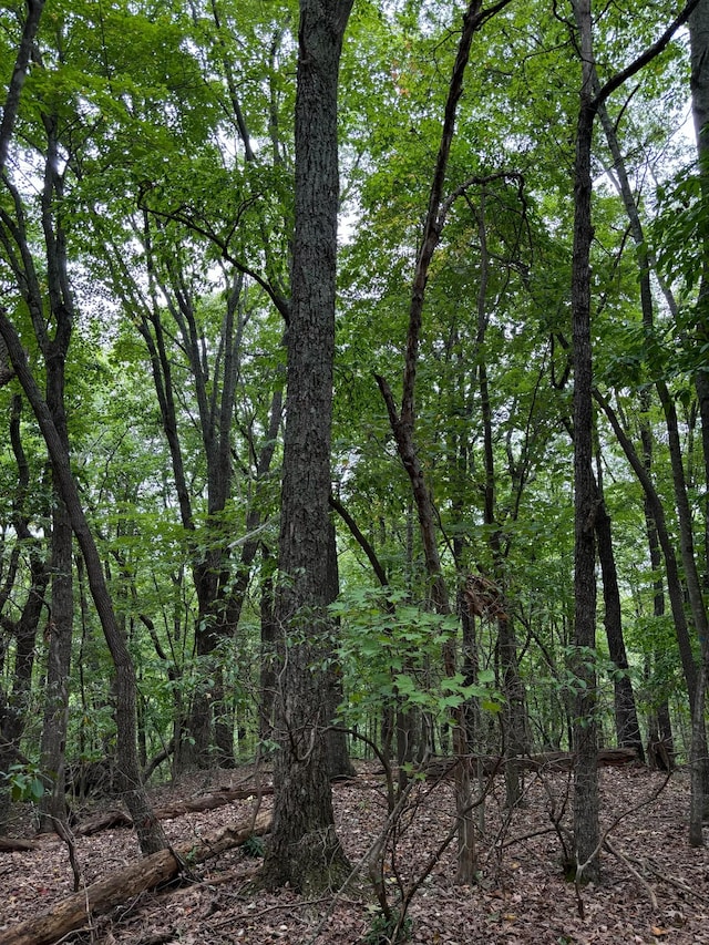 17 Trentwood Ct, Crossville, TN 38558