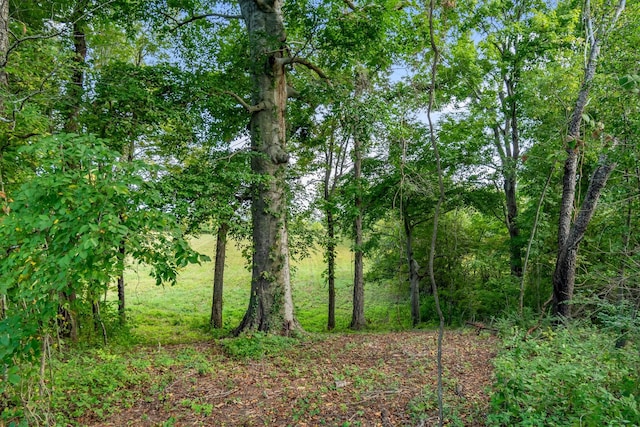 2736 Critz Ln, Thompsons Station, TN 37179