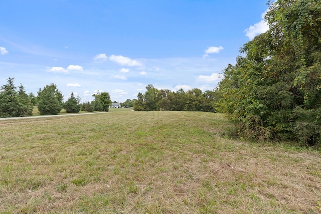 2736 Critz Ln, Thompsons Station, TN 37179