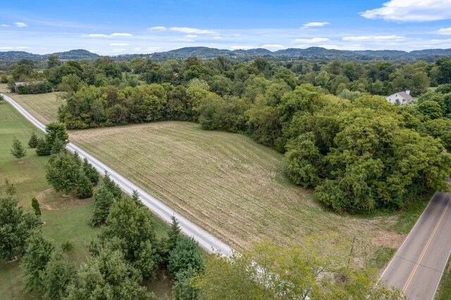 2736 Critz Ln, Thompsons Station, TN 37179