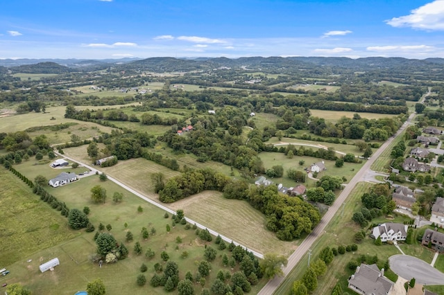 2736 Critz Ln, Thompsons Station, TN 37179