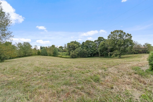 2736 Critz Ln, Thompsons Station, TN 37179